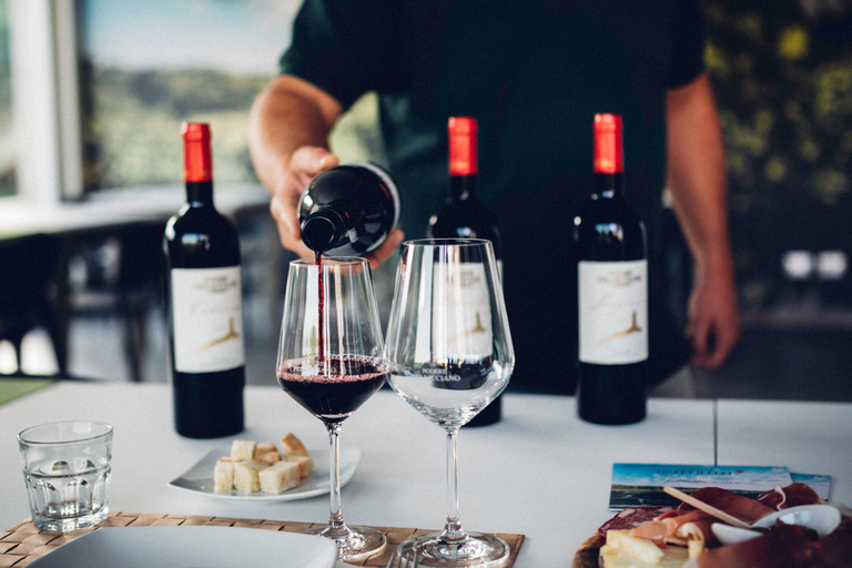 Excursión enológica en una bodega familiar de la Toscana