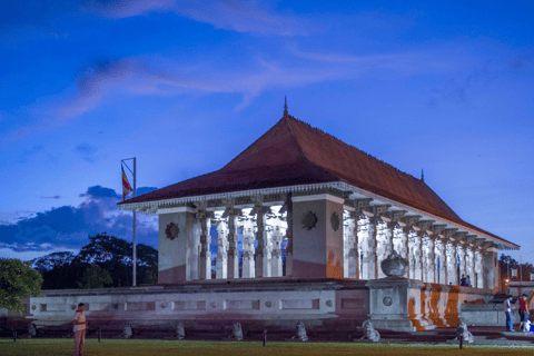 Sri Lanka: 9-Day Beach and Relaxation Tour with Transfers Excluding Hotels in a private Car