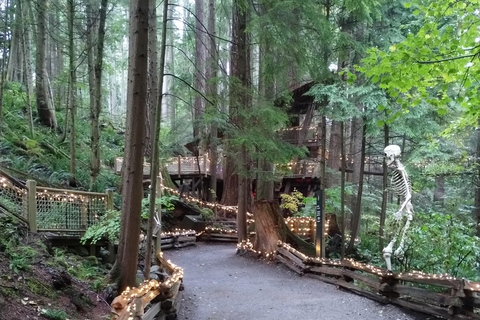 4Tour:Capilano Suspension Br/CAR/Small GROUP+Lago+Dam+Hacher