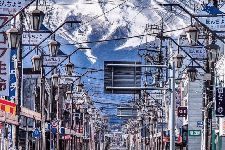 From Tokyo: Mount Fuji Full Day Customizable Private Tour