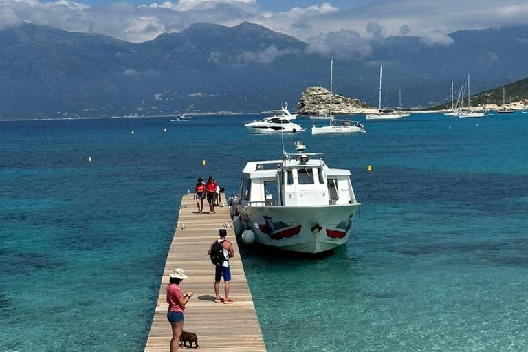 From Saint-Florent: Boat Transfer to Saleccia or Lotu Beach Transfer to Lotu Beach