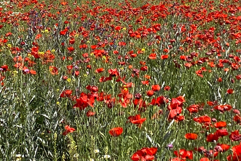 Yerevan: Mount Aragats South Summit Private Hiking Tour
