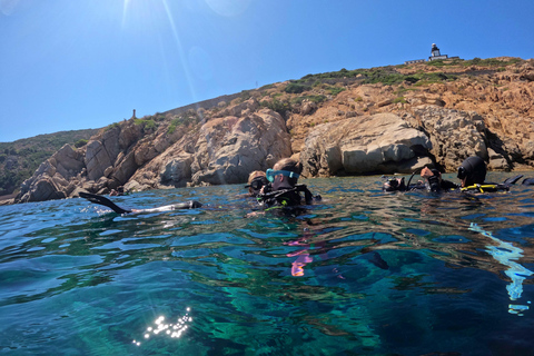 First Scuba Diving Experience in Calvi (From 8 yo) Calvi: Discover Scuba Diving