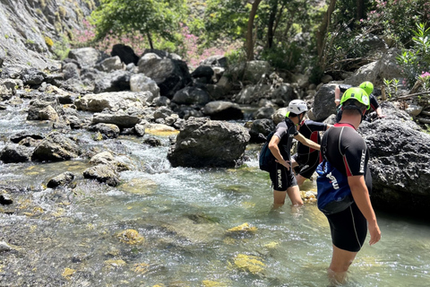 Von Rethymno aus: Fluss-Trekking in der Kourtaliotiko-SchluchtAbholung und Rücktransfer