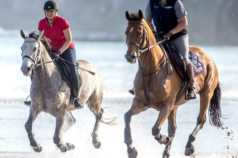 Tobago: Scenic Buccoo Bay Horseback Trail Ride