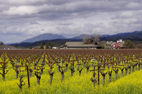 Da San Francisco: Tour delle cantine della Valle di NapaDa San Francisco: Tour delle cantine della Napa Valley