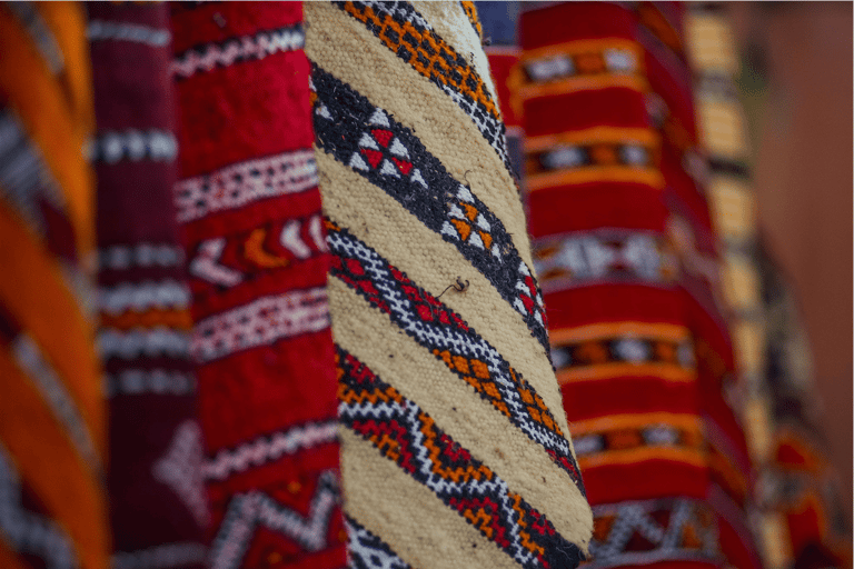 Desde Agadir o Taghazout: tour guiado de la ciudadTour desde Agadir