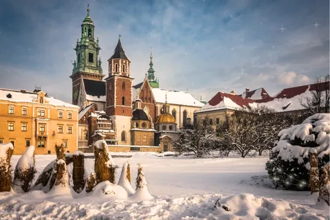 Tour guidato del Castello di Wawel e della Cattedrale