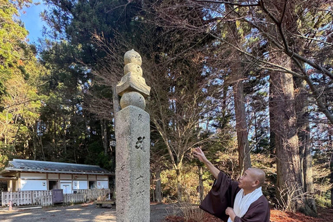 From Osaka/Kyoto: Mt. Koya & Nachi Falls Private Day Trip