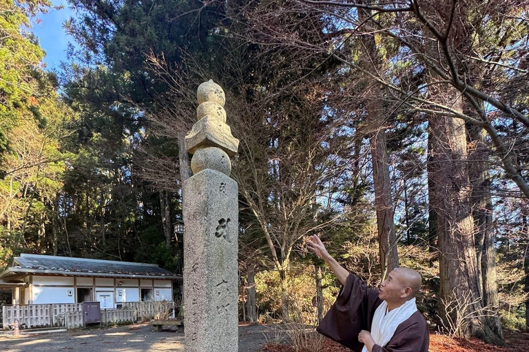 From Osaka/Kyoto: Mt. Koya & Nachi Falls Private Day Trip