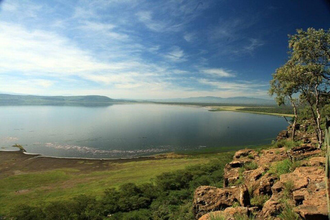 Nairobi: Lake Nakuru National Park Day Trip with Game Drive