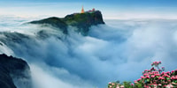 Tour di Zhangjiajie Avatar Mountain Glass Bridge Day - Housity