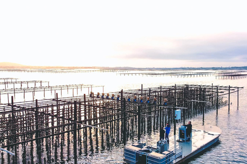 Loupian: Tour guide of our oyster farm and tasting Loupian: Tour guide of our oyster farme and tasting