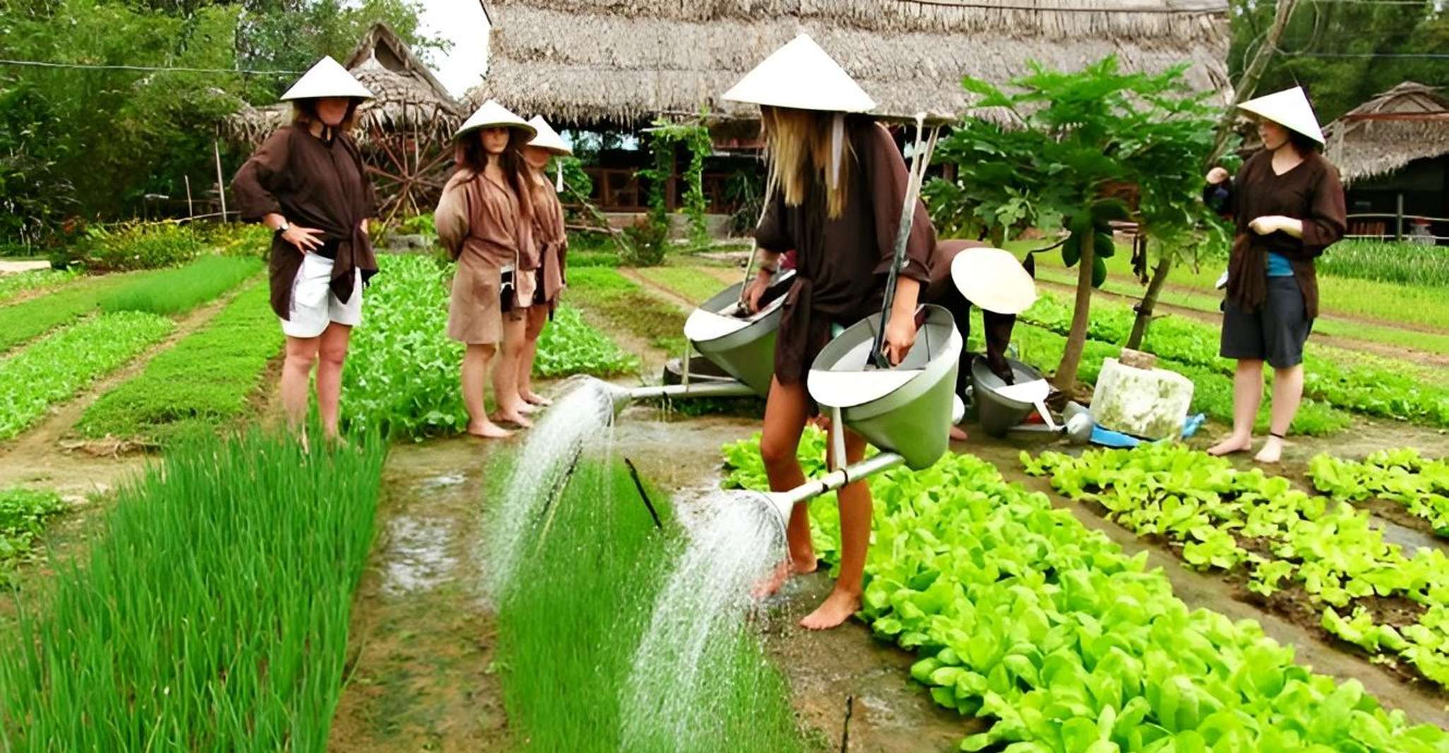 Tra Que Village Vegetable Farm Experience en vélo - Housity