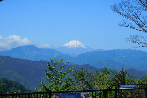 Tokyo: Mt Takao Tour with Ramen and Tattoo-Okay Hot Spring