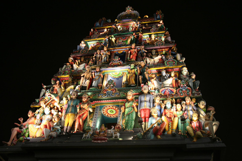 Cingapura: Excursão particular com um guia localPasseio de 3 horas