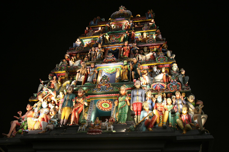 Cingapura: Excursão particular com um guia localPasseio de 3 horas