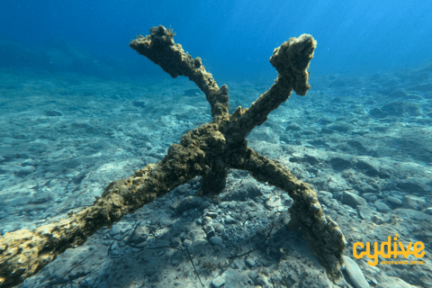 Paphos: Tour di mezza giornata alla scoperta delle immersioni subacquee