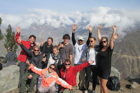 Da Arequipa: Tour guidato di un giorno intero del Canyon del Colca con pasti