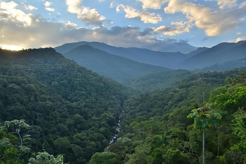Rio de Janeiro ou São Paulo : circuit de 3 jours dans le parc national d'Itatiaia