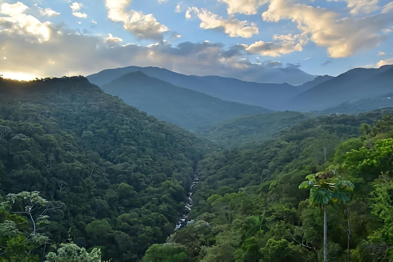 Rio de Janeiro ou São Paulo : circuit de 3 jours dans le parc national d'Itatiaia