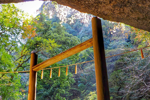 Fukuoka: Takachiho Gorge & Scenic Railway One Day Tour Limited-Time One-Day Tour (Excluding Admission Fees)