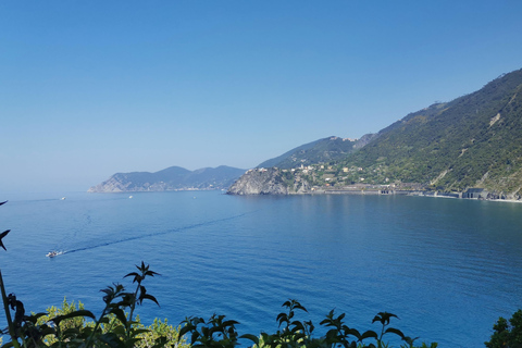 Desde Florencia: Tour en grupo reducido de un día a Cinque Terre y Pisa