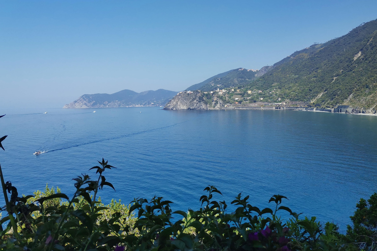 Au départ de Florence : Visite en petit groupe des Cinque Terre et de Pise