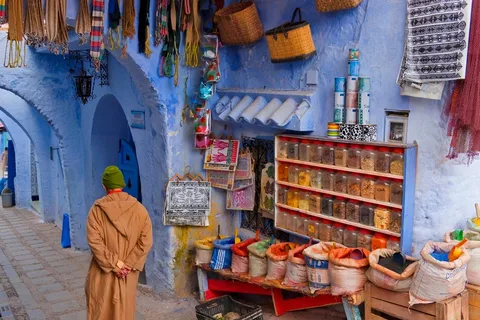 Depuis Tanger : Une excursion privée à Chefchaouen