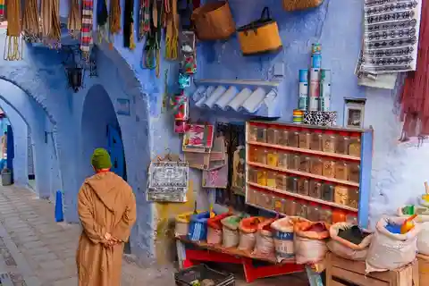 Depuis Tanger : Une excursion privée à Chefchaouen