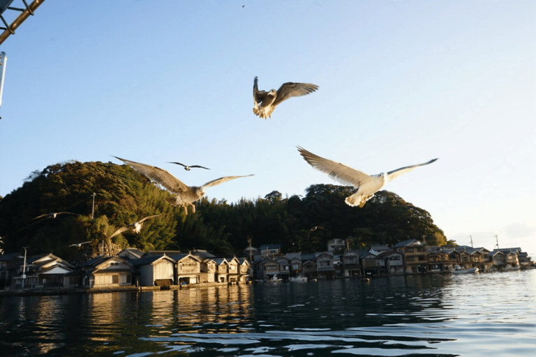 Amanohashidate & Ine Bay Tour With English Speaking Driver