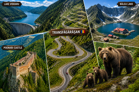 From Brașov: Transfăgărășan Scenic Drive & Poenari Tour From Brasov: Transfăgărășan & Bâlea Lake