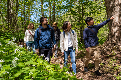 Sapporo: Hokkaido Shrine, Forest & Local Café Walk