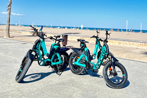 Valencia alles in één: stranden, oude stad &amp; stadskunsten per E-bikeGedeelde Tour Valencia Alles in één