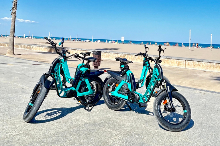 Valencia alles in één: stranden, oude stad &amp; stadskunsten per E-bikeGedeelde Tour Valencia Alles in één