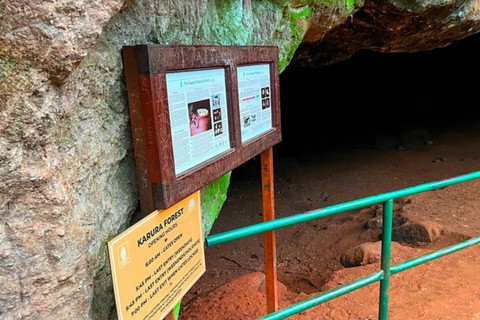 Nairobi: Karura and Oloolua Forests Guided Day Tour Private 2 pax