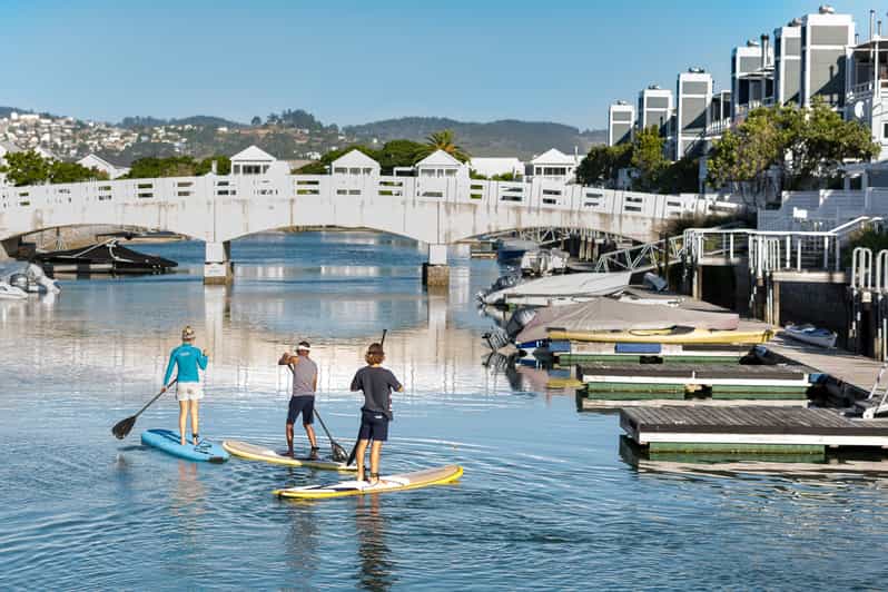Knysna Stand Up Paddle Board Hire GetYourGuide