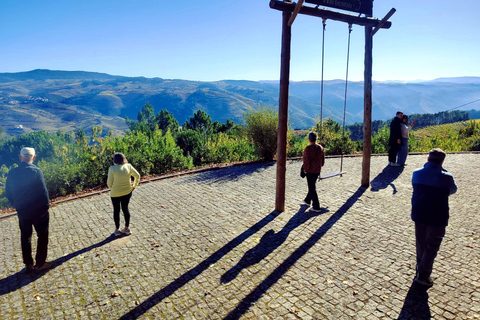 Half Day Douro Valley Tour with Cruise and Winery Lunch