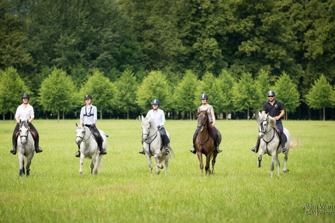 Promenade à cheval Versailles Intimité &amp; ViPCheval Versailles Intimité &amp; Vip