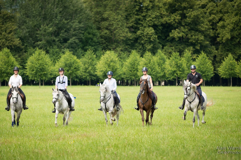 Promenade à cheval Versailles Intimité &amp; ViPCheval Versailles Intimité &amp; Vip