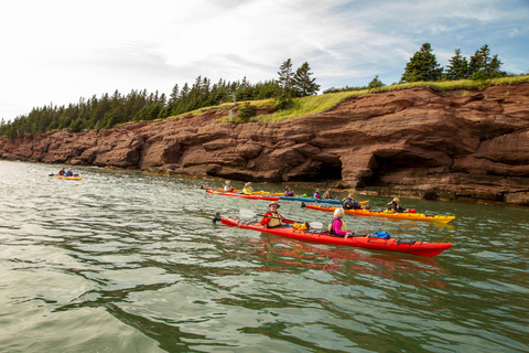 Saint John: Guided Kayaking Tour of St. Martins Sea Caves Sea Caves Half-Day Kayak Tour