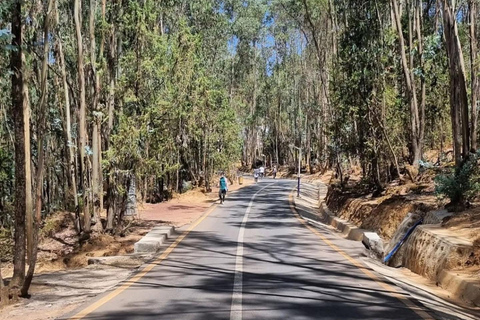 Addis Ababa: Entoto Forest Walk & Craft Workshop Tour