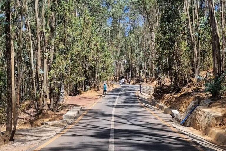 Addis Ababa: Entoto Forest Walk & Craft Workshop Tour