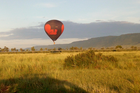 Safari dans le Kenya sauvage Explorez Amboseli, Tsavo Ouest et Tsavo Est 4 joursSafari sauvage au Kenya : découvrez Amboseli, Tsavo Ouest et Tsavo Est en 4 jours