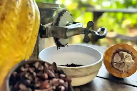 Cacao Experience Tour