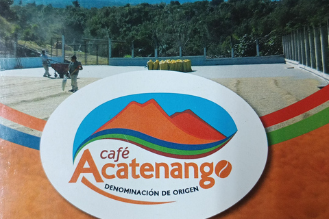 Guatemala City: Volcano-Grown Coffee Tasting Experience