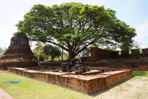 From Bangkok: Ayutthaya Day Trip with Cruise & Buffet Lunch