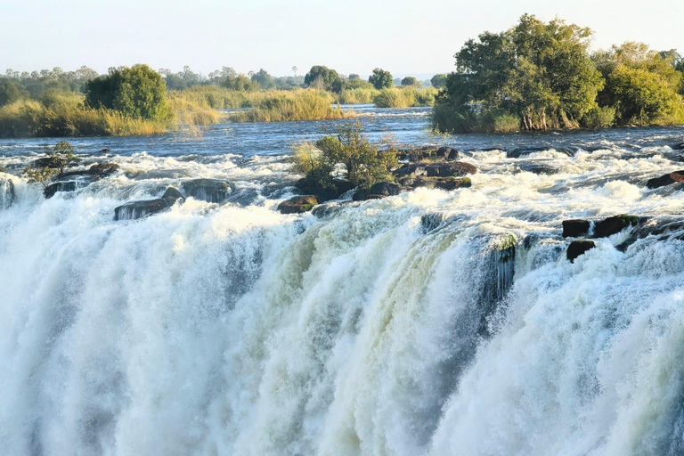 Victoria Falls Cross-Border Tour:Big Tree & Historic Bridge