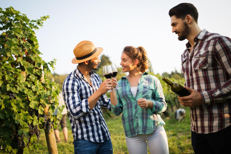 Vins et vues : Visite privée de l&#039;Otago au départ de Queenstow