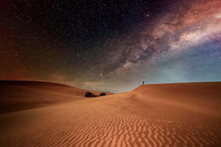 Doha: Night Desert Safari Stargazing Dune Bashing,Camel Ride